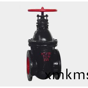 Z45T/W/H-10/16晻(an)桿楔(xie)式單閘闆閘(zha)閥