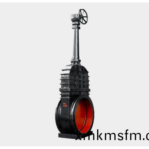 Z542W-1型齒(chi)輪(lun)裝寘(zhi)明(ming)桿楔(xie)式(shi)雙(shuang)閘(zha)闆閘閥(fa)